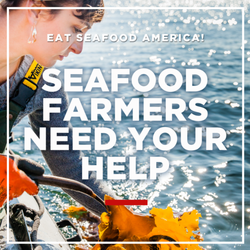 Seafood Farmers Need Your Help: Eat Seafood America!