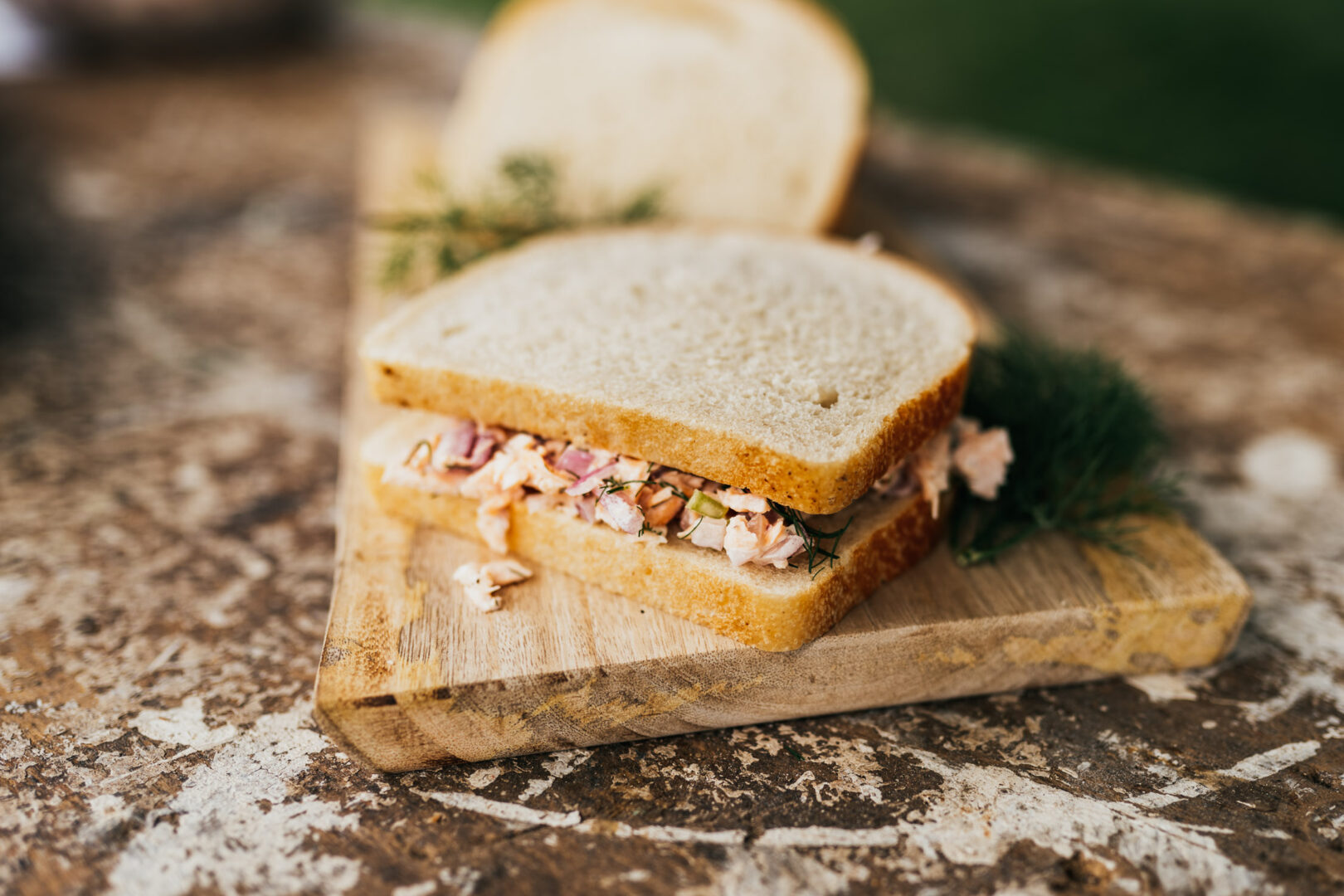 salmon salad sandwich