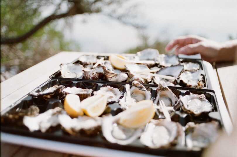 The World Is an Oyster! Learn All About Oyster Benefits
